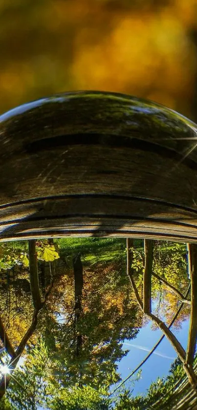 Crystal ball reflecting vibrant nature landscape in autumn colors.