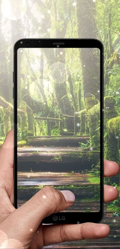 Hand holding a phone showing a forest path on screen.