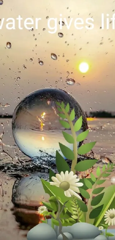 Reflective water surface with sunset and plants enhancing nature's beauty and balance.