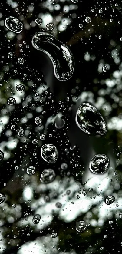 Water droplets reflecting trees on a mobile wallpaper.