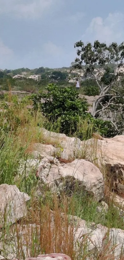 Mobile wallpaper featuring rocky terrain with foliage and a blue sky background.