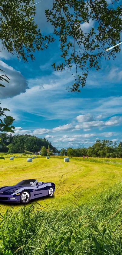 Green fields with a purple car under a blue sky.