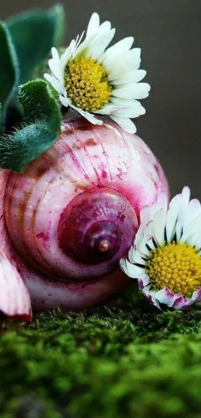 Close-up of pink shells and white daisies on green moss background.