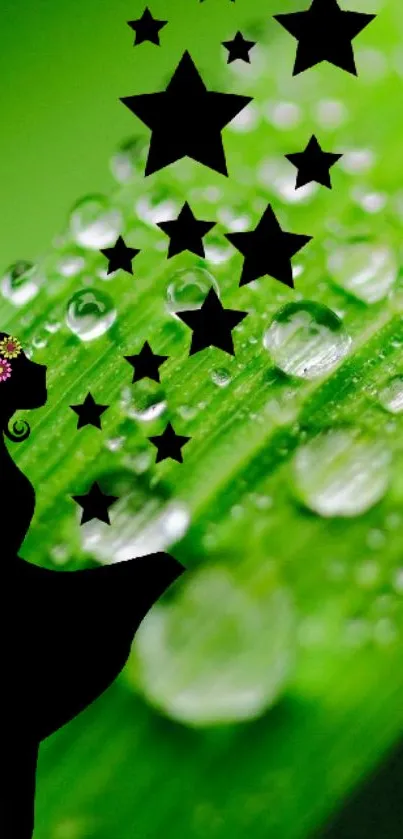 Silhouette of a girl with stars on a green, dewy background.