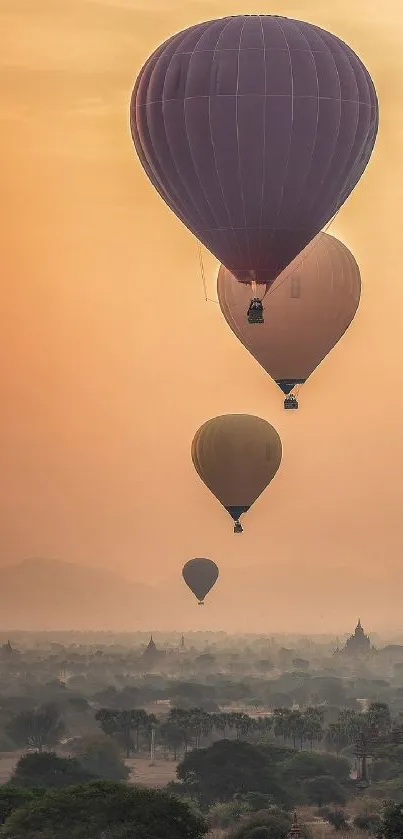 Nature Sky Balloon Live Wallpaper