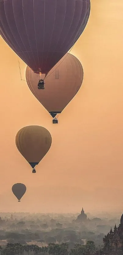 Nature Sky Racy Live Wallpaper