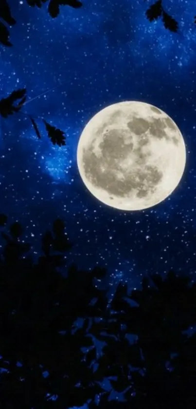 Nature Sky World Live Wallpaper