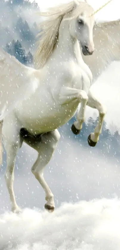 Nature Snout Snow Live Wallpaper