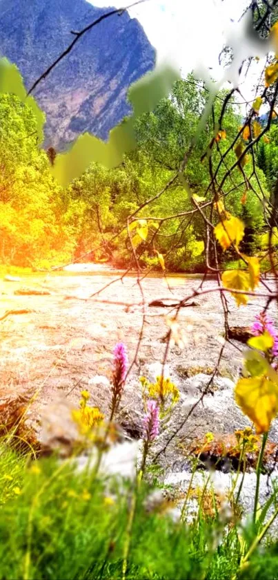 Mountain stream with colorful flowers and lush greenery.