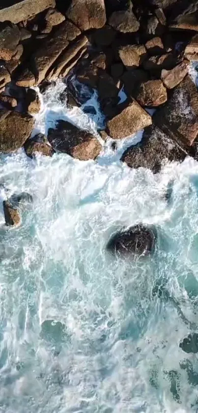Nature Swimming Water Live Wallpaper