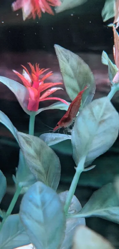 Close-up of green leaves and red flowers creating a natural mobile wallpaper.