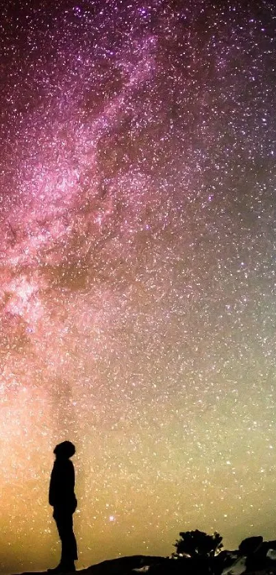 Nature Tree Cloud Live Wallpaper