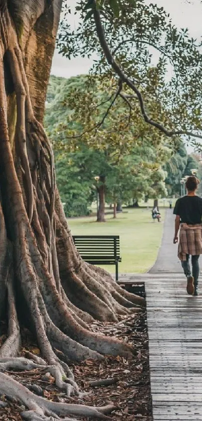 Two people walking near an ancient tree in a lush park setting.