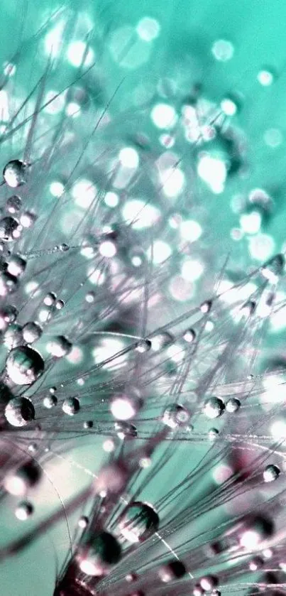 Nature Water Abstract Live Wallpaper