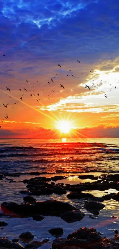 Nature Water Bird Live Wallpaper