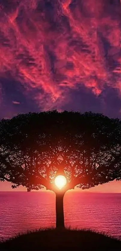 Nature Water Cloud Live Wallpaper