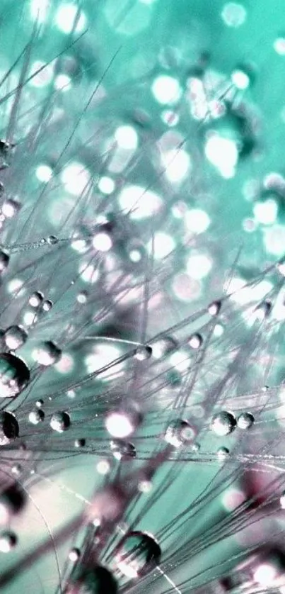 Nature Water Droplet Live Wallpaper