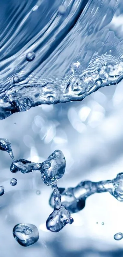 Nature Water Droplet Live Wallpaper