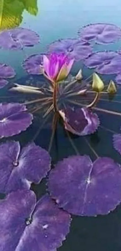 Nature Water Flora Live Wallpaper
