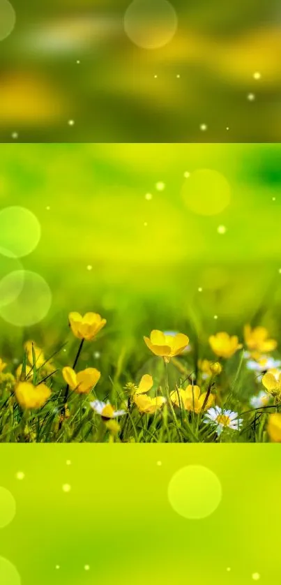 Nature Water Flower Live Wallpaper