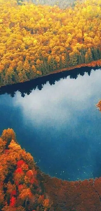 Nature Water Flower Live Wallpaper