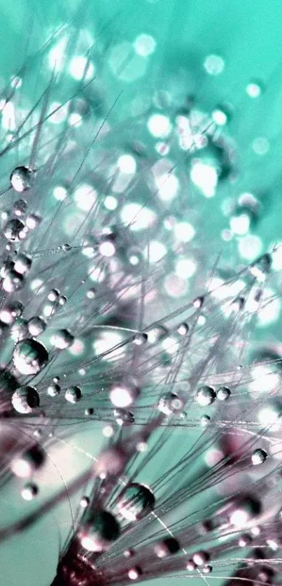 Nature Water Light Live Wallpaper