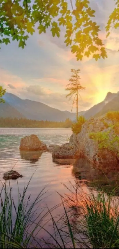 Nature Water Outdoor Live Wallpaper