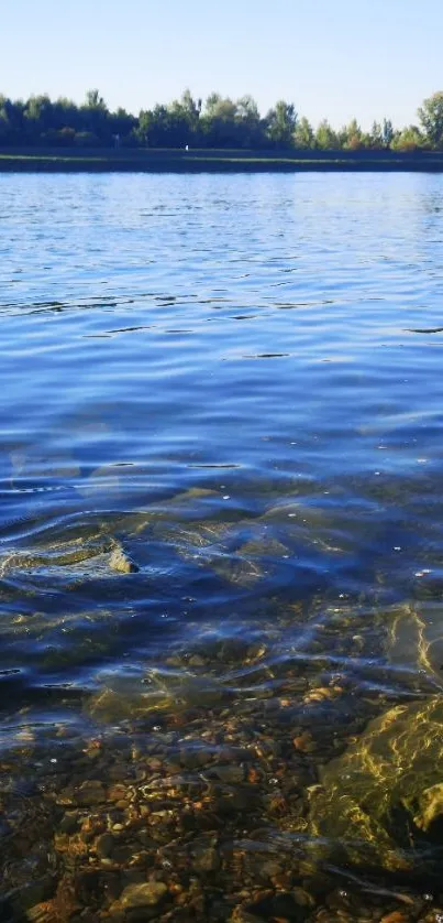 Nature Water Outdoor Live Wallpaper