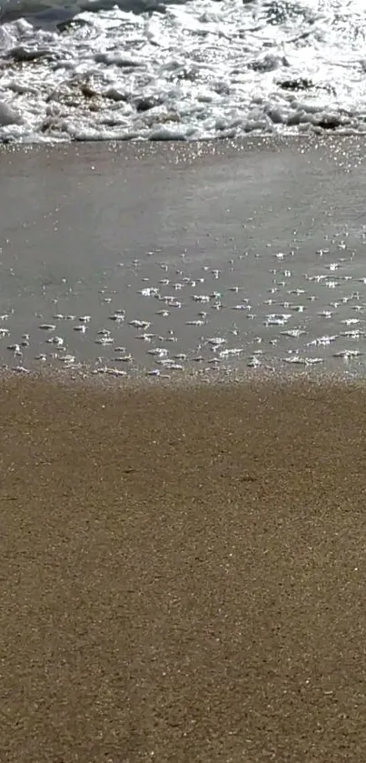 Nature Water Outdoor Live Wallpaper