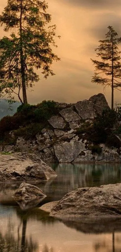 Nature Water Plant Live Wallpaper