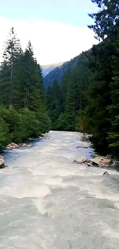 Nature Water Plant Live Wallpaper