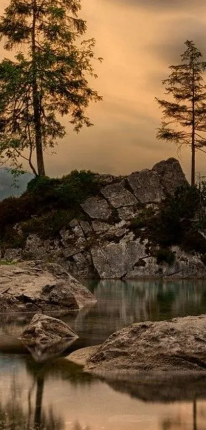 Nature Water Plant Live Wallpaper