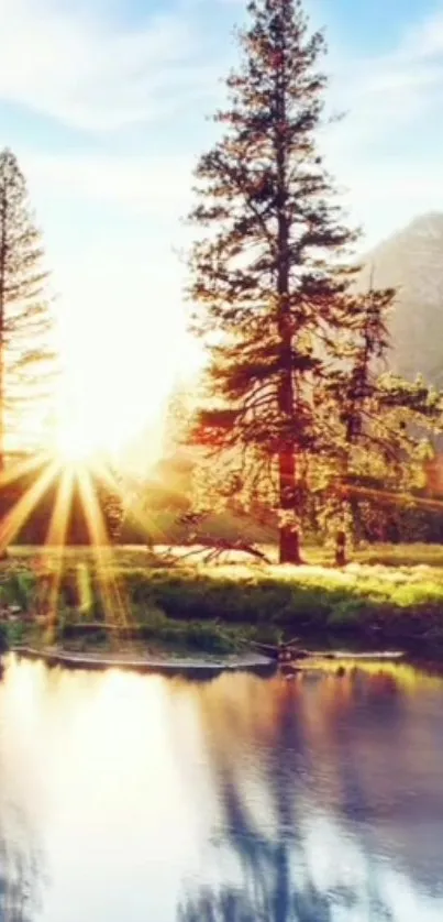 Nature Water Plant Live Wallpaper