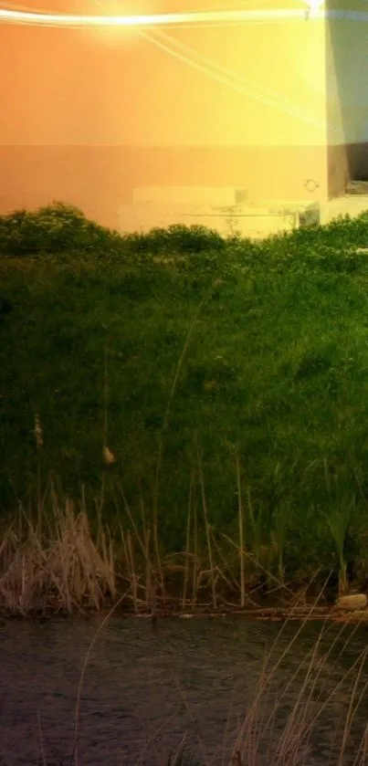 Nature Water Plant Live Wallpaper