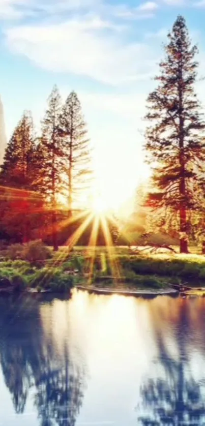 Nature Water Plant Live Wallpaper
