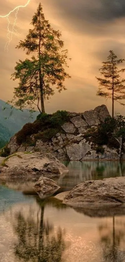 Nature Water Plant Live Wallpaper