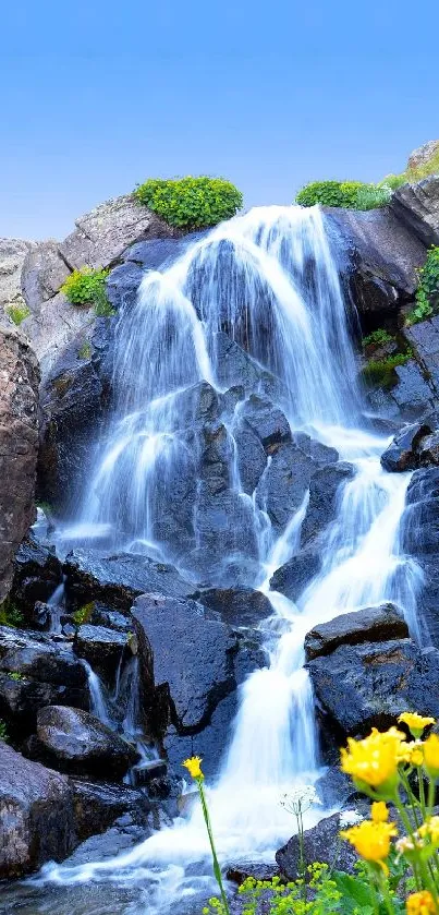 Nature Water Plant Live Wallpaper