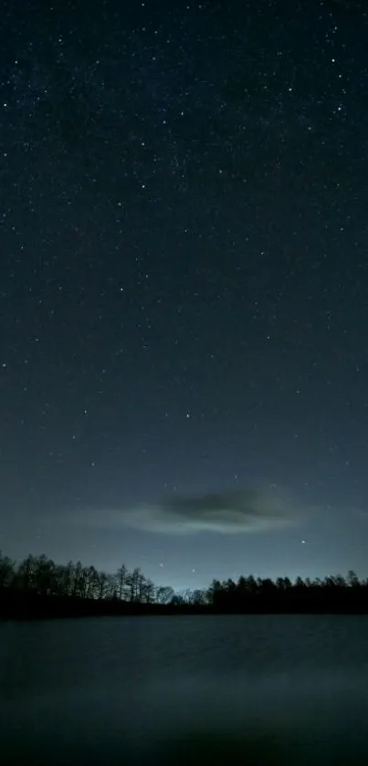 Nature Water Tree Live Wallpaper