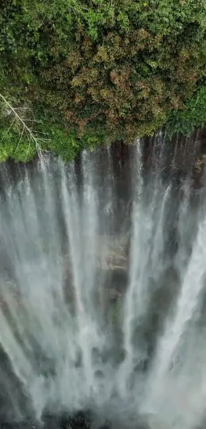 Nature Water Waterfall Live Wallpaper