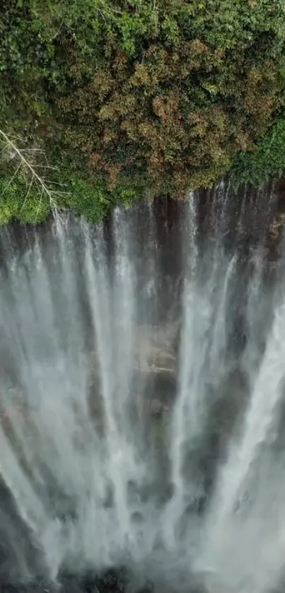 Nature Water Waterfall Live Wallpaper