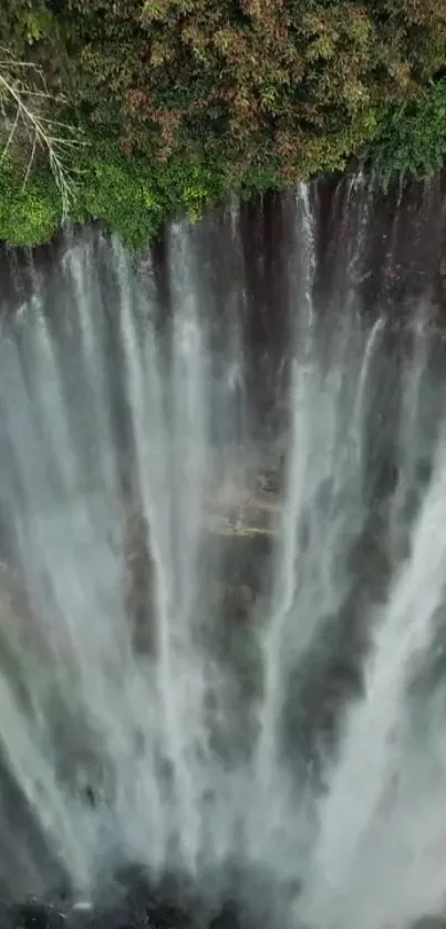 Nature Water Waterfall Live Wallpaper