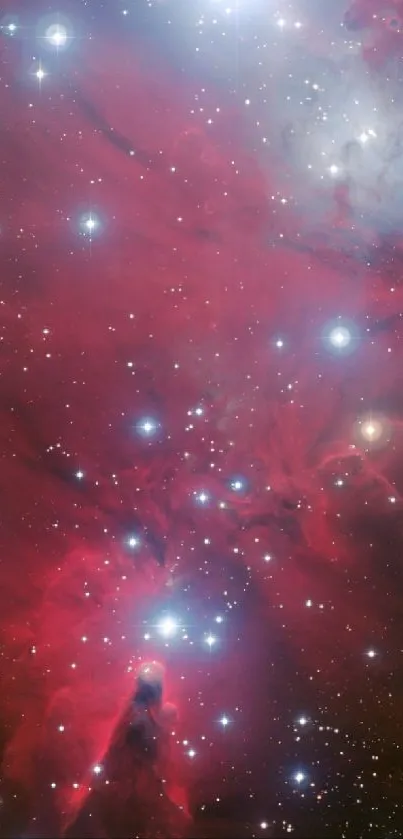 Crimson red nebula with bright stars in the night sky, ideal for mobile wallpaper.