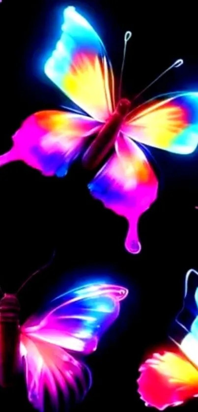 Neon butterflies with vibrant colors on a dark background.