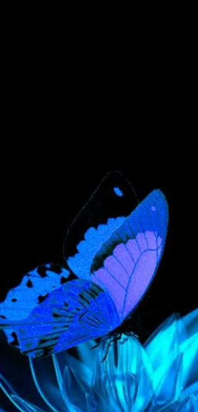 A neon butterfly on a dark background, glowing in blue and purple.