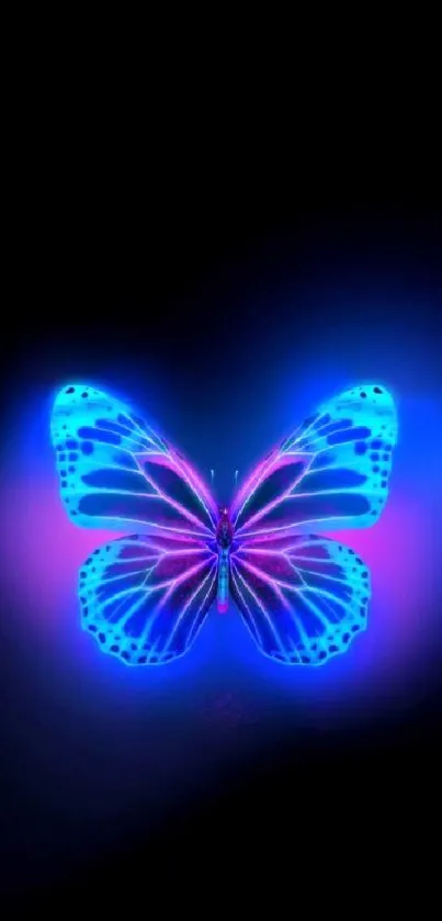 Neon blue and pink butterfly on black mobile wallpaper.