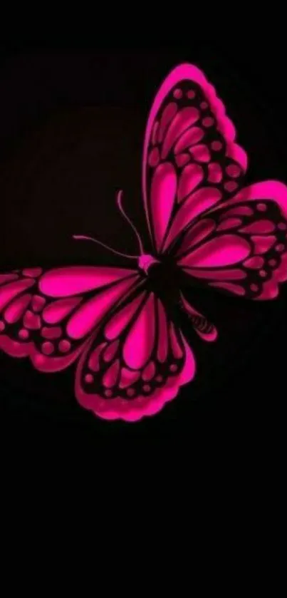 Neon pink butterfly with glowing wings on black background.