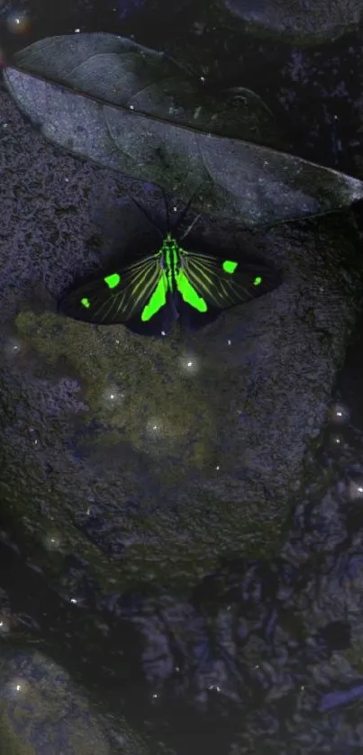 Neon green butterfly on dark, textured rocks wallpaper.