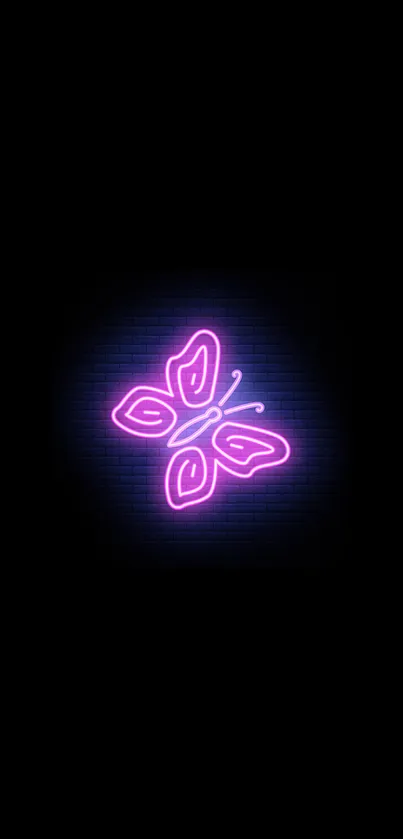 Neon pink butterfly glowing on a black background.