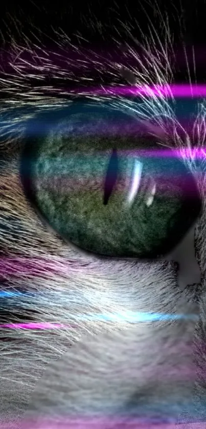 Close-up of a cat's eye with neon purple and blue accents on a wallpaper.