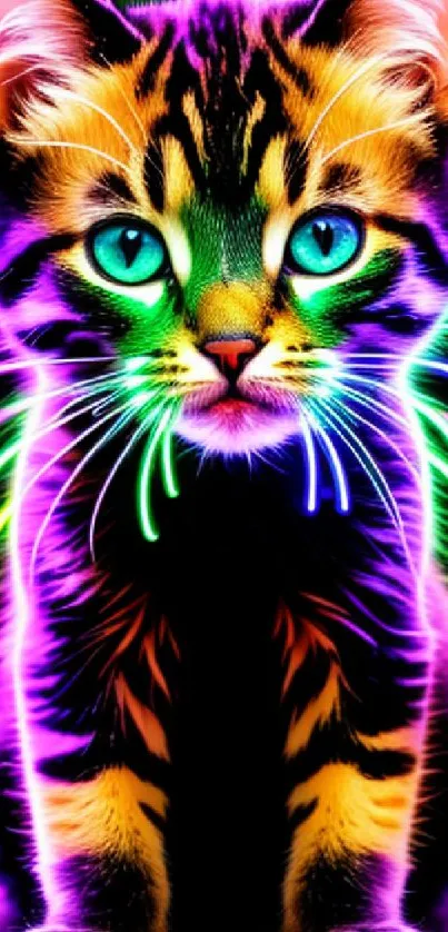 Vibrant neon cat with glowing colors on a dark background.